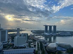 -新加坡瑞士史丹福酒店