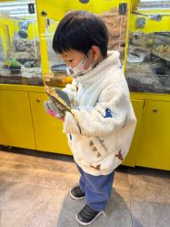 -神奇动物撸宠馆·羊驼·小浣熊·异宠(豫园店)