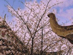-紫阳古街