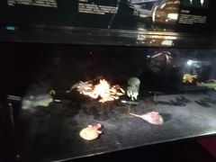 -同济大学四平路校区深海探索馆