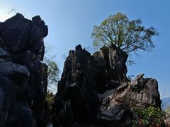 -玉石林风景区