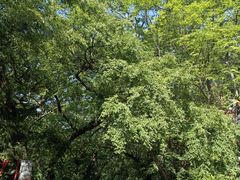 -怡咖啡·自助餐·西安香格里拉