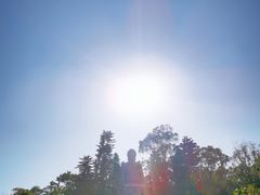 景点-天坛大佛