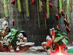 -小龙坎火锅(沙井店)