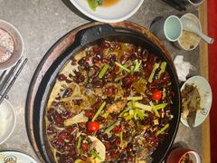 -老板恋上鱼(恒隆广场店)