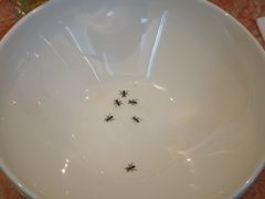 -唐宫小聚(荃湾荃新天地店)