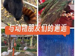 -灵玲国际马戏城