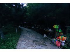 -少华山国家森林公园