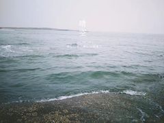 -阳光海岸露营公园