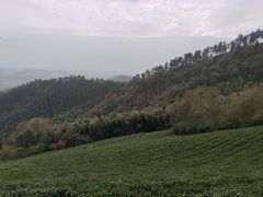 -敬亭山风景名胜区