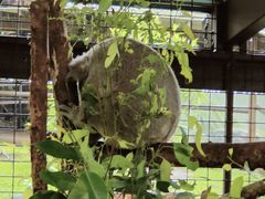 -热带雨林自然公园