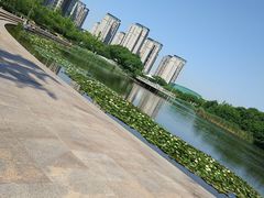 -新江湾城公园
