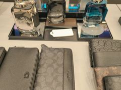 -COACH蔻驰(星光68广场店)