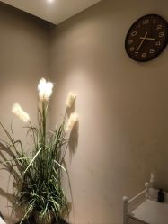 -阅年轻·AI家庭健康体质调理