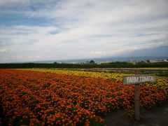 -富田农场