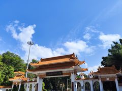 -深圳仙湖植物园