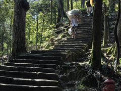 -缙云山景区