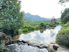 -中国茶叶博物馆(双峰馆区)