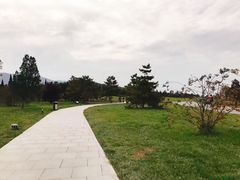 -秦始皇帝陵博物院-丽山园