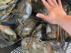 -無招牌海鮮(芽笼店)