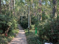 -水濂山森林公园