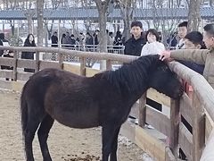 -太原动物园