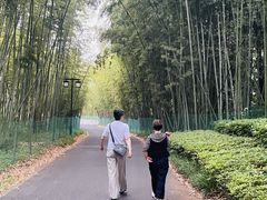 -苏州环秀晓筑养生度假村