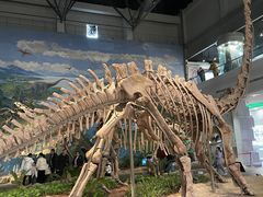 -自贡恐龙博物馆