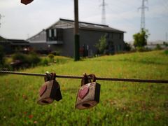 -菊园百果园