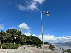 -深圳湾公园(南山区)