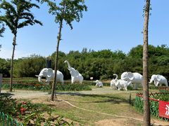 -廊坊市自然公园