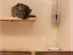 -龙猫仔乐园(惠福东路店)