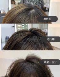 -YESIDO BLACK椰岛造型