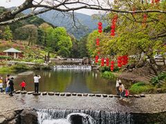 -广州市石门国家森林公园