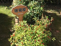 -昱南托育园.托班晚托.寒暑假班