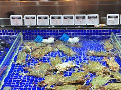 -高佳庄·舟山海鲜(海景旗舰店)