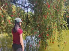 -人民公园(罗湖区)