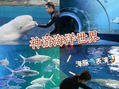 -威海华夏城景区