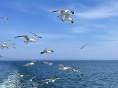 -海驴岛(荣成市)