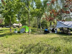 -永定河休闲森林公园