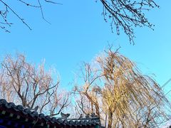 -隆兴寺