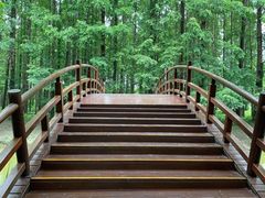 -黄海国家森林公园