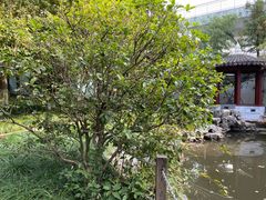 -瀛洲公园