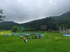 -武陵山森林公园