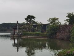 -海珠湖公园