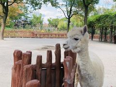 -上海野生动物园