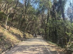 -虞山风景区