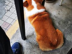 -小梁哥云吞面(黄贝岭店)