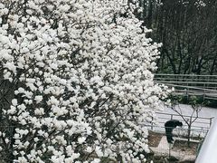 -外高桥保税区南(地铁站)