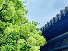 -常熟方塔园